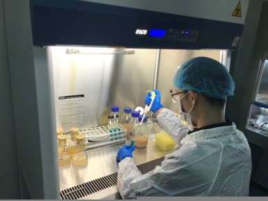 饲料禁抗下的挑战与机遇 正大康地如何以生物饲料研发破局猪料市场