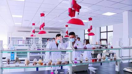 以十九届六中全会精神为指引，加快推进科技创新，提升核心竞争力——聚焦生物饲料研发