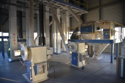 石家庄市栾城区 技改促发展，智造赢未来，生物饲料研发领航产业升级